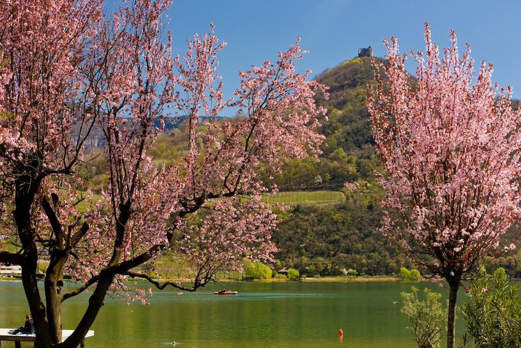 Seegarten كالدورا المظهر الخارجي الصورة
